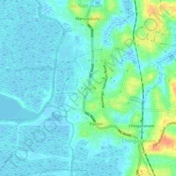 Pallam topographic map, elevation, terrain