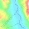 Electric topographic map, elevation, terrain