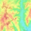 Selins topographic map, elevation, terrain