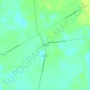 Pineland topographic map, elevation, terrain