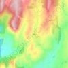 Badger topographic map, elevation, terrain