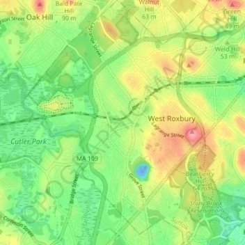 West Roxbury topographic map, elevation, terrain