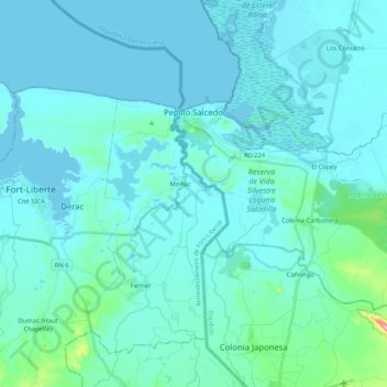 Pepillo Salcedo topographic map, elevation, terrain