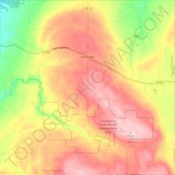 Town of Arkwright topographic map, elevation, terrain