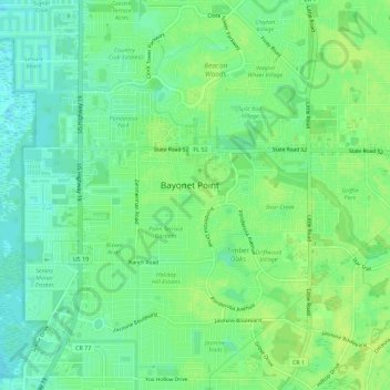 Bayonet Point topographic map, elevation, terrain